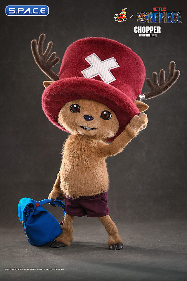 Chopper TV Masterpiece TMS174 (One Piece)