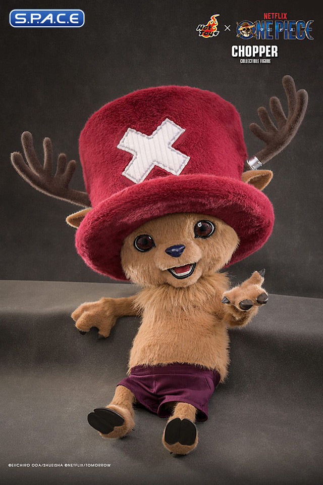 Chopper TV Masterpiece TMS174 (One Piece)