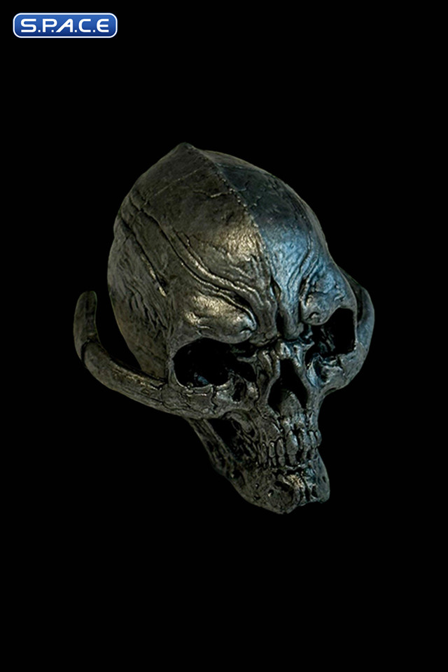 Silver Coin and Silver Skull Set (Cosmic Legions)