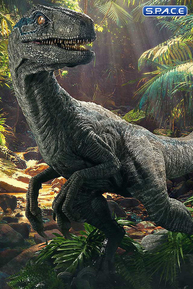 1/2 Scale Blue Legacy Museum Collection Statue (Jurassic World: Fallen Kingdom)