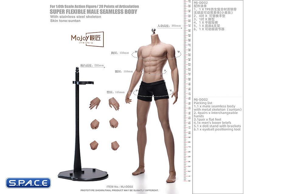 1/6 Scale Seamless Male suntan Body DD02