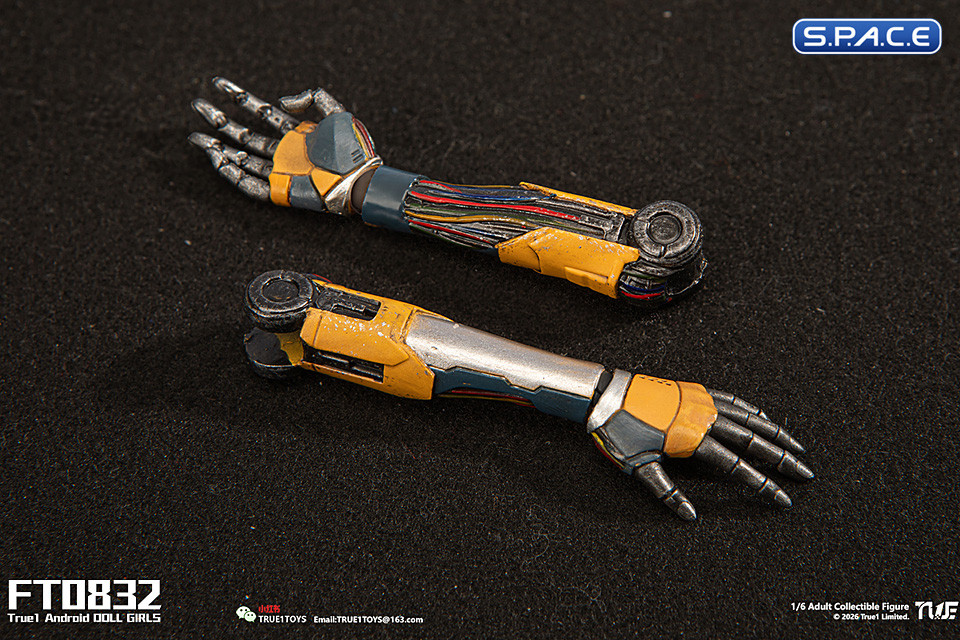 1/6 Scale Android Bill - white hair Version