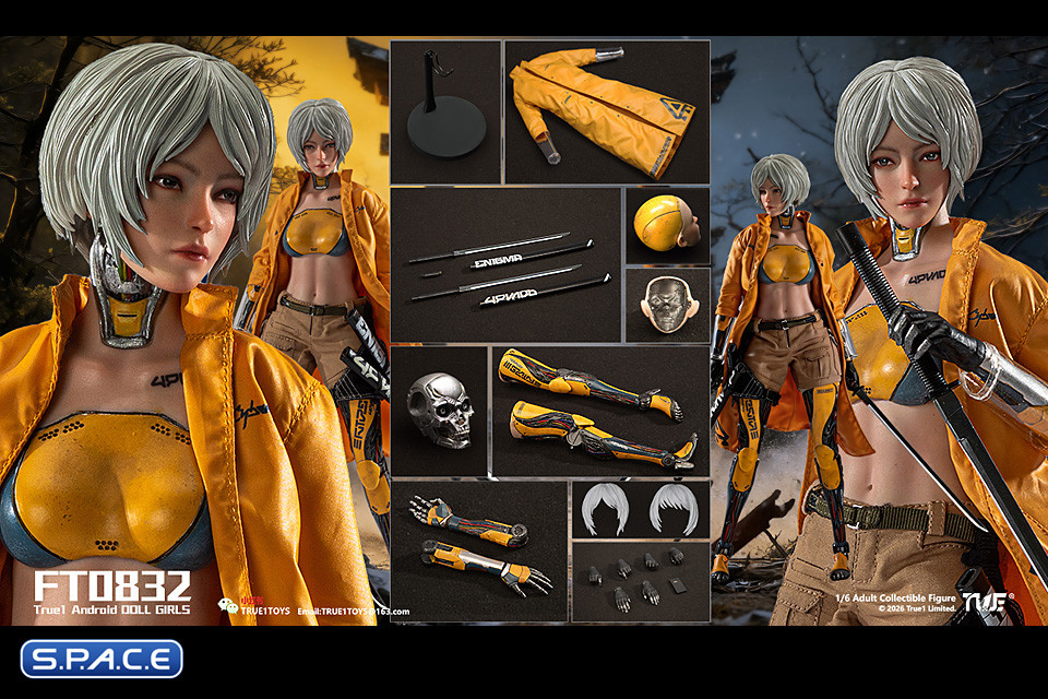 1/6 Scale Android Bill - white hair Version