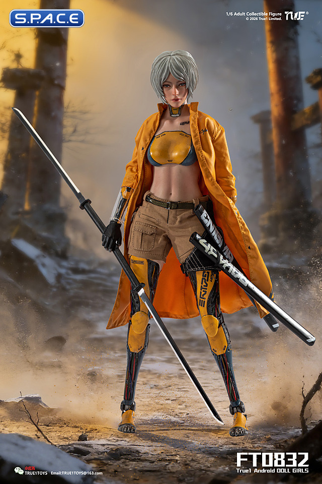 1/6 Scale Android Bill - white hair Version