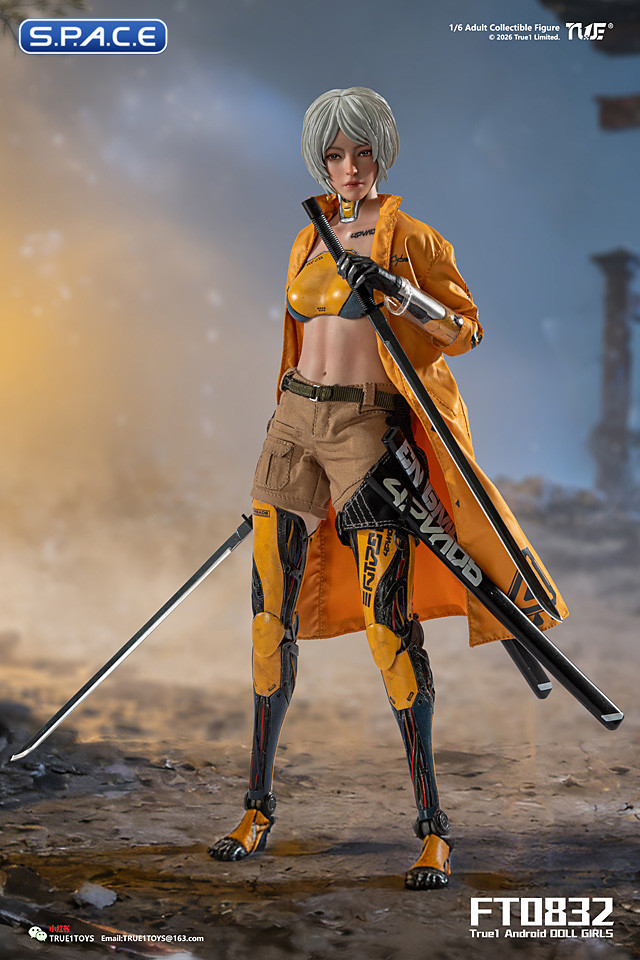 1/6 Scale Android Bill - white hair Version