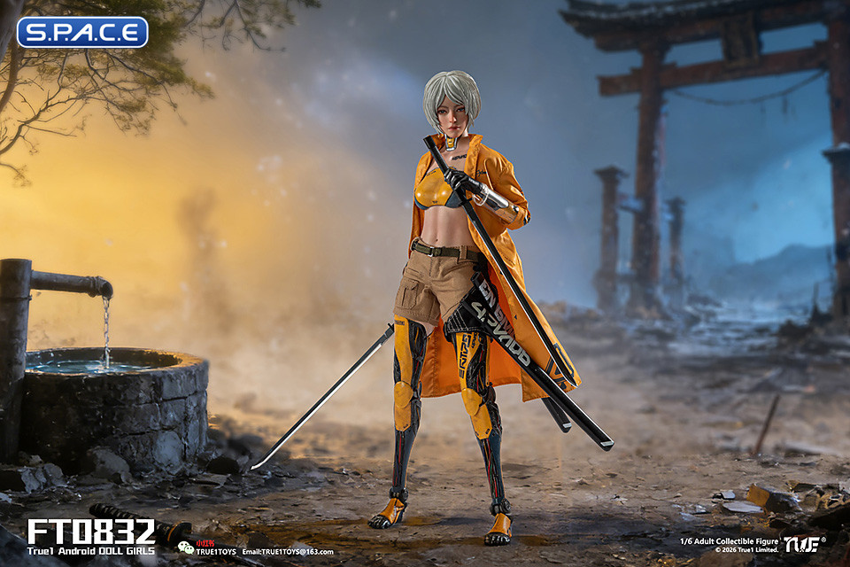 1/6 Scale Android Bill - white hair Version