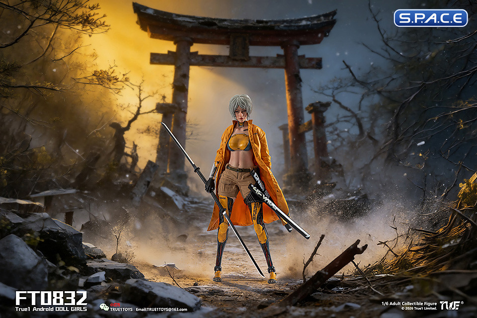 1/6 Scale Android Bill - white hair Version