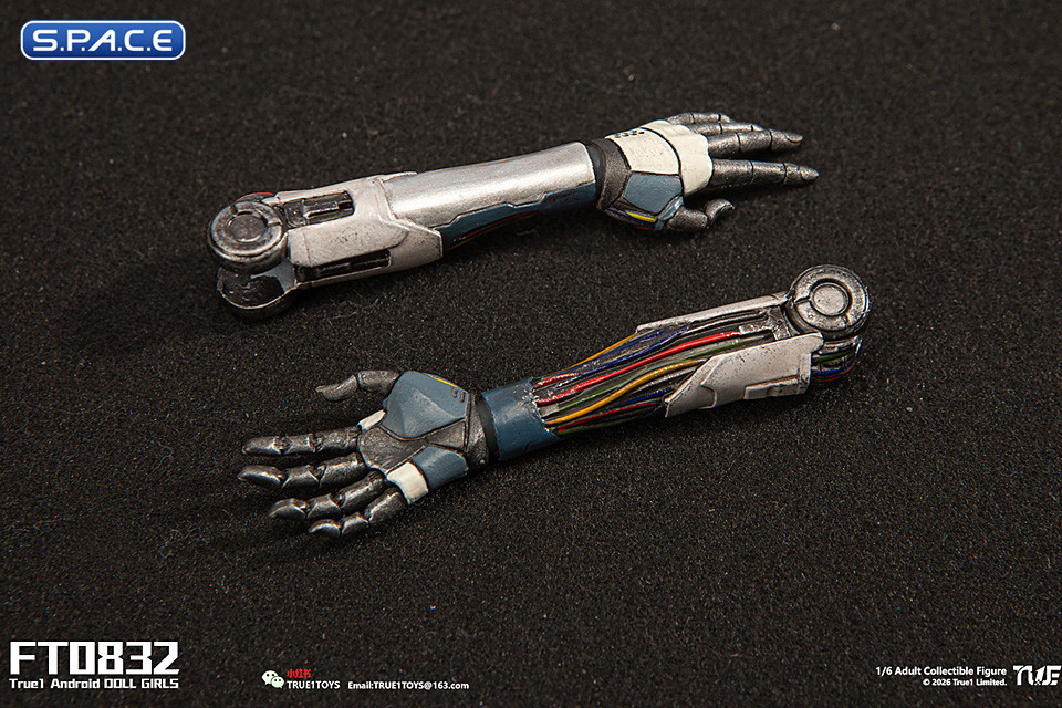 1/6 Scale Android Bill - black hair Version