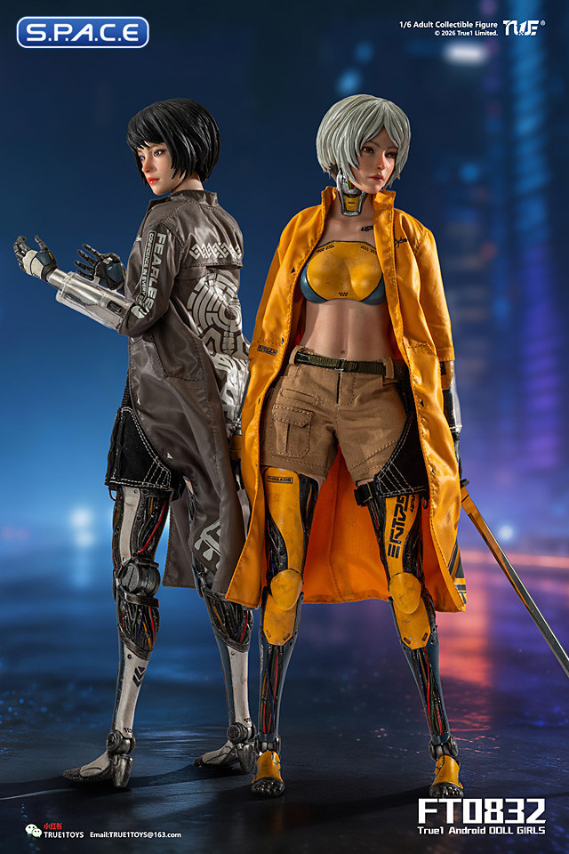 1/6 Scale Android Bill - black hair Version