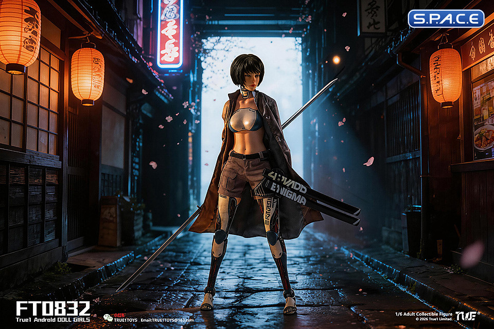 1/6 Scale Android Bill - black hair Version