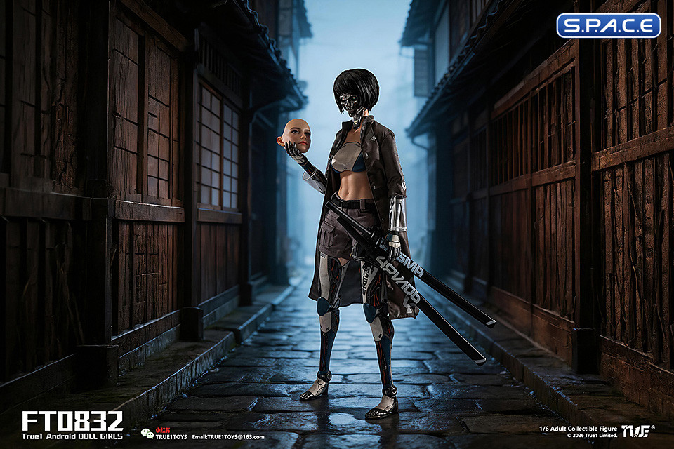 1/6 Scale Android Bill - black hair Version