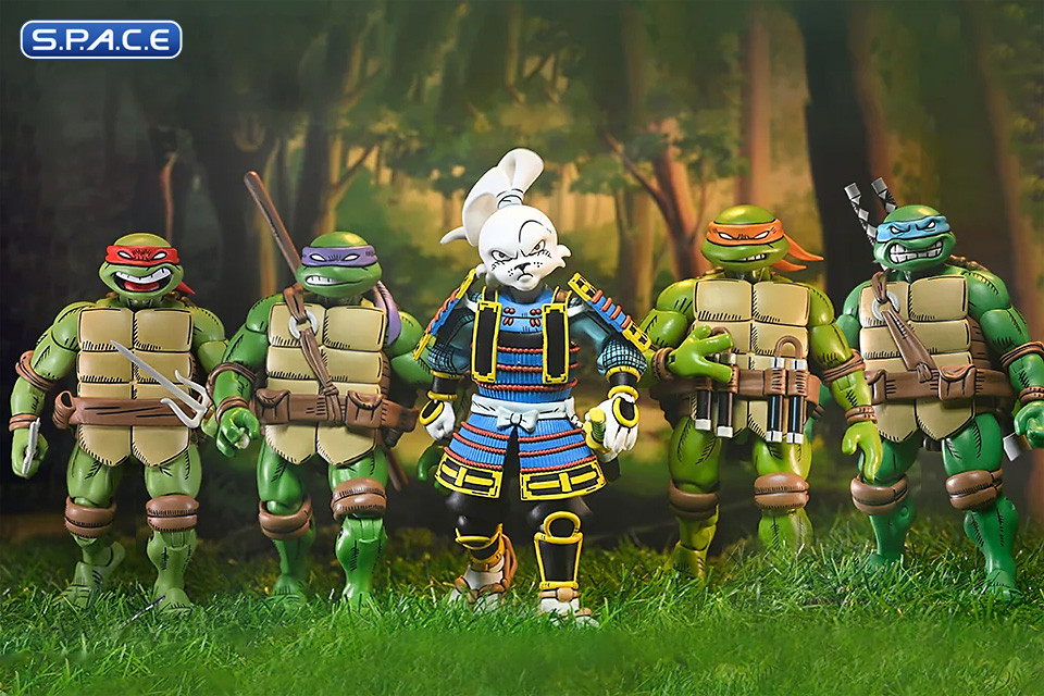 Miyamoto Usagi (TMNT X Usagi Yojimbo)