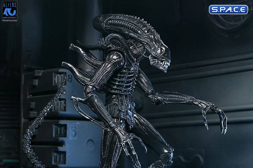 Ultimate Xenomorph Warrior - 40th Anniversary Version (Aliens)