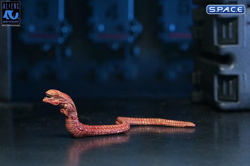 Ultimate Xenomorph Warrior - 40th Anniversary Version (Aliens)