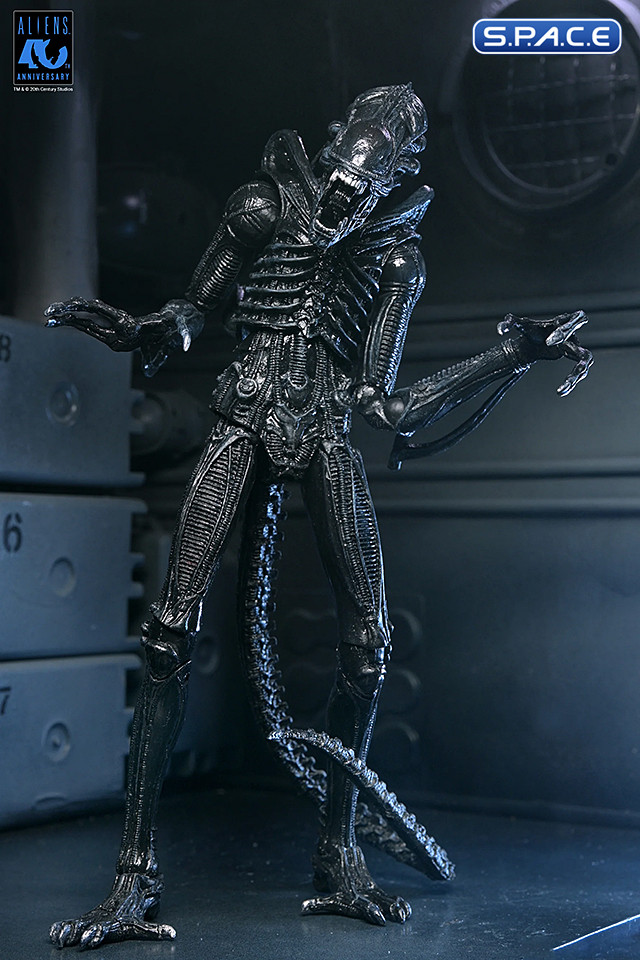 Ultimate Xenomorph Warrior - 40th Anniversary Version (Aliens)
