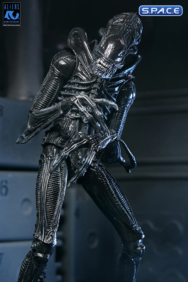 Ultimate Xenomorph Warrior - 40th Anniversary Version (Aliens)