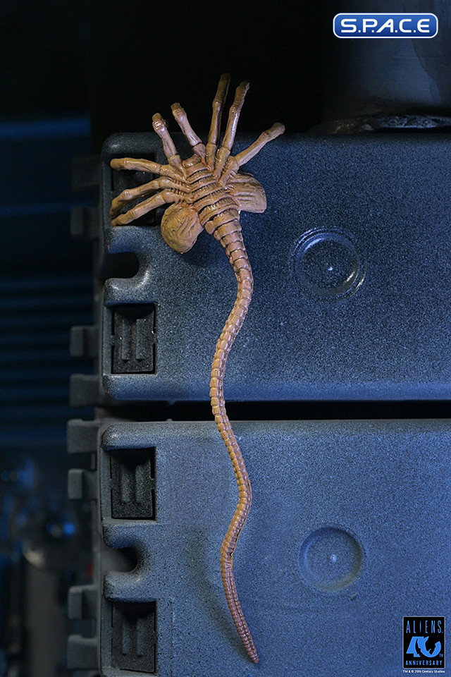 Ultimate Xenomorph Warrior - 40th Anniversary Version (Aliens)