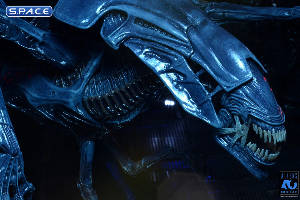 Ultra Deluxe Xenomorph Queen - 40th Anniversary Version (Aliens)