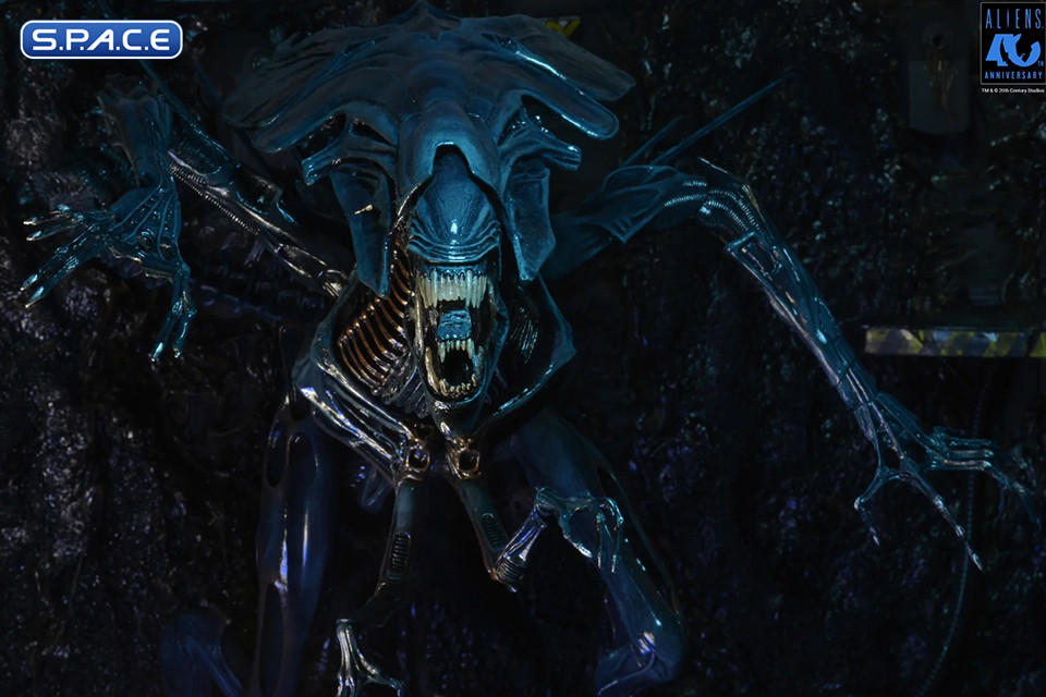 Ultra Deluxe Xenomorph Queen - 40th Anniversary Version (Aliens)