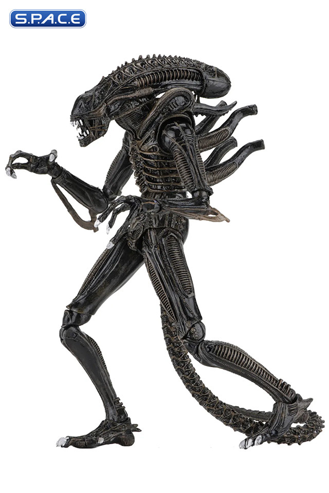 Ultimate Alien Warrior - brown Version (Aliens)