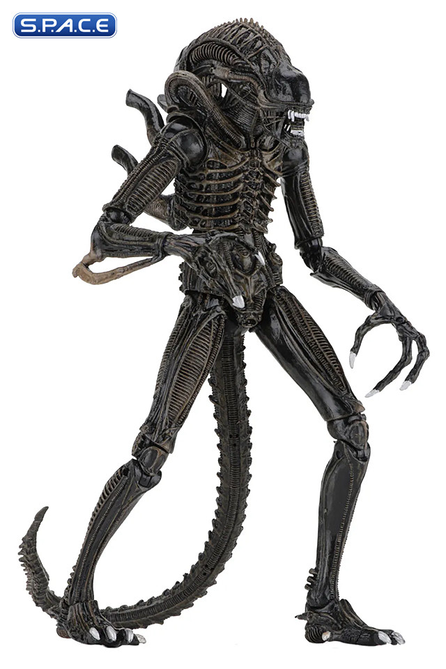 Ultimate Alien Warrior - brown Version (Aliens)