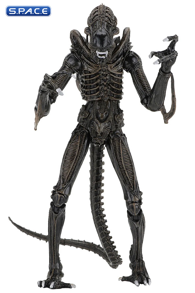 Ultimate Alien Warrior - brown Version (Aliens)