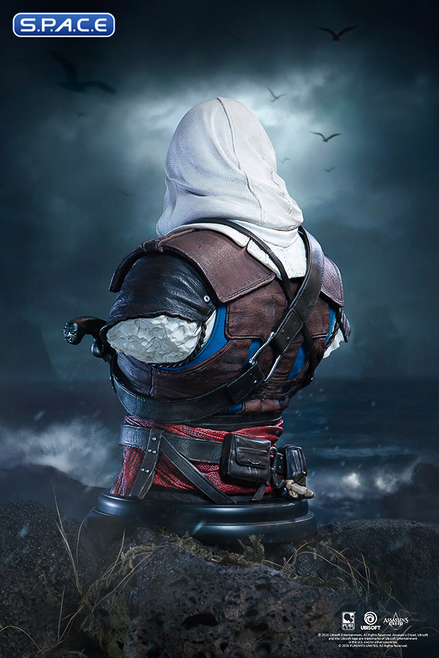 Edward Kenway Bust (Assassins Creed Black Flag Resynced)