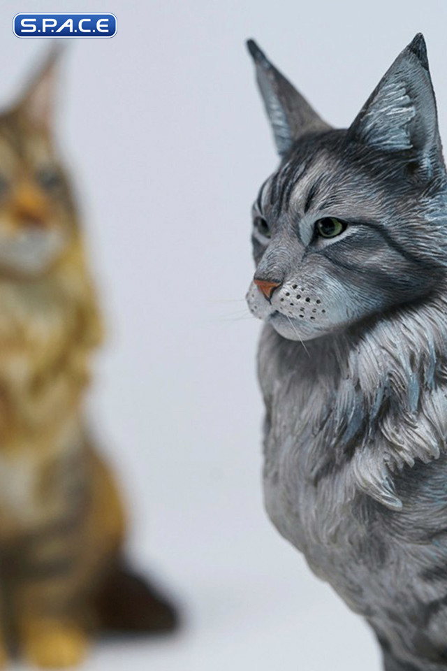 Sitting upright Maine Coon Statue - Version B