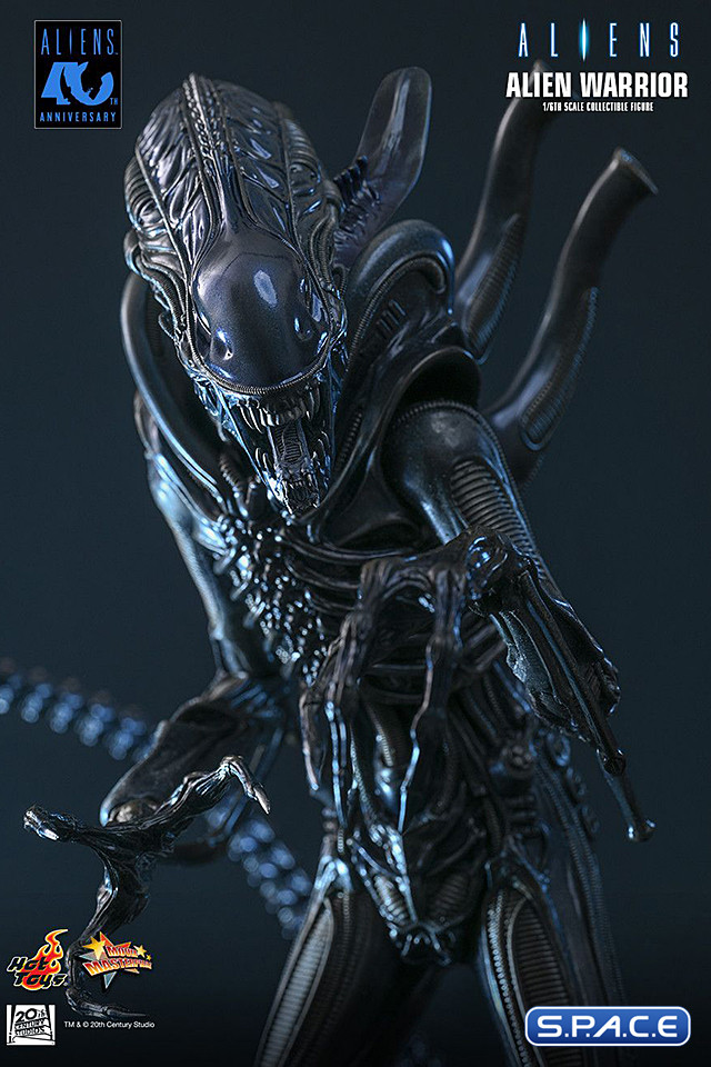 1/6 Scale Alien Warrior Movie Masterpiece MMS898 (Aliens)