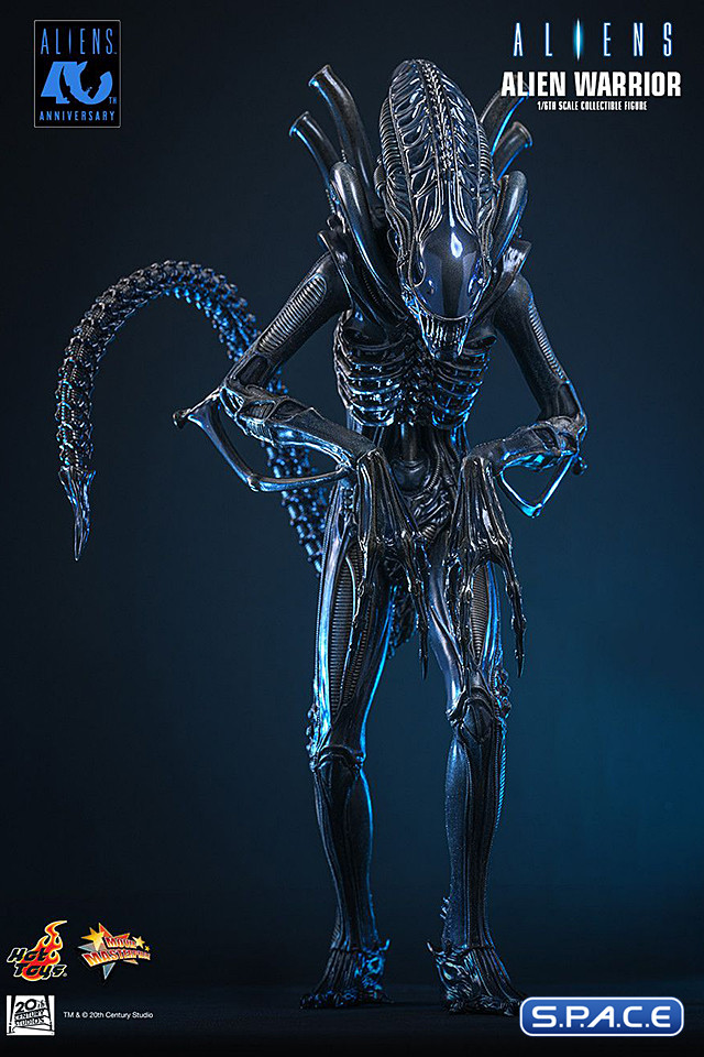 1/6 Scale Alien Warrior Movie Masterpiece MMS898 (Aliens)