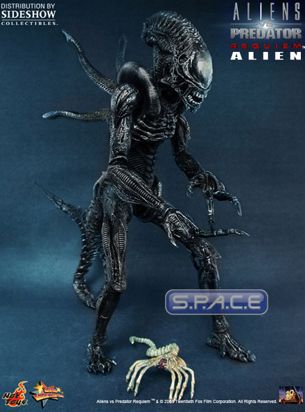 1/6 Scale Alien with Facehugger Model Kit (AvsP: Requiem)