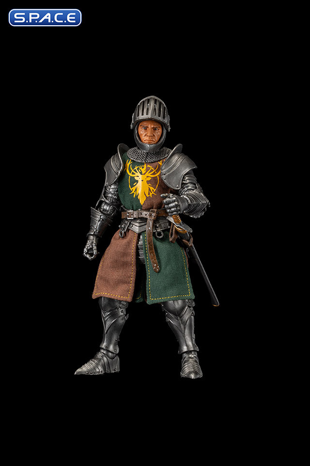 Xylonas Flock Tunic Set (Mythic Legions)