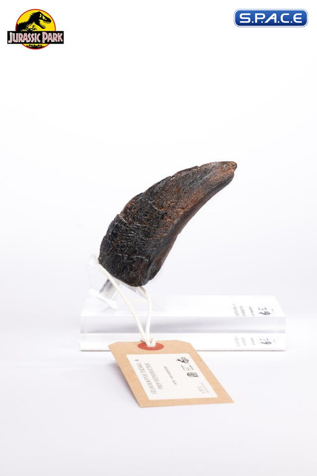 Velociraptor Toenail Type A Prop Replica (Jurassic Park)