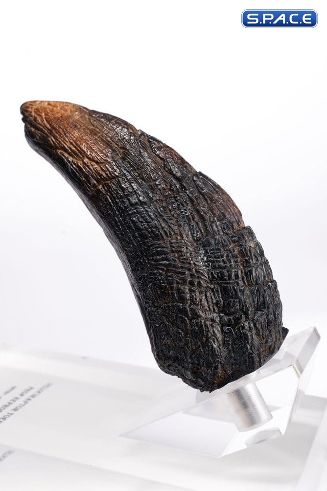 Velociraptor Toenail Type A Prop Replica (Jurassic Park)
