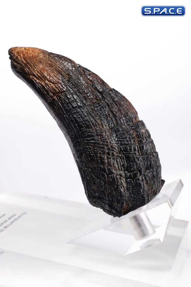 Velociraptor Toenail Type A Prop Replica (Jurassic Park)