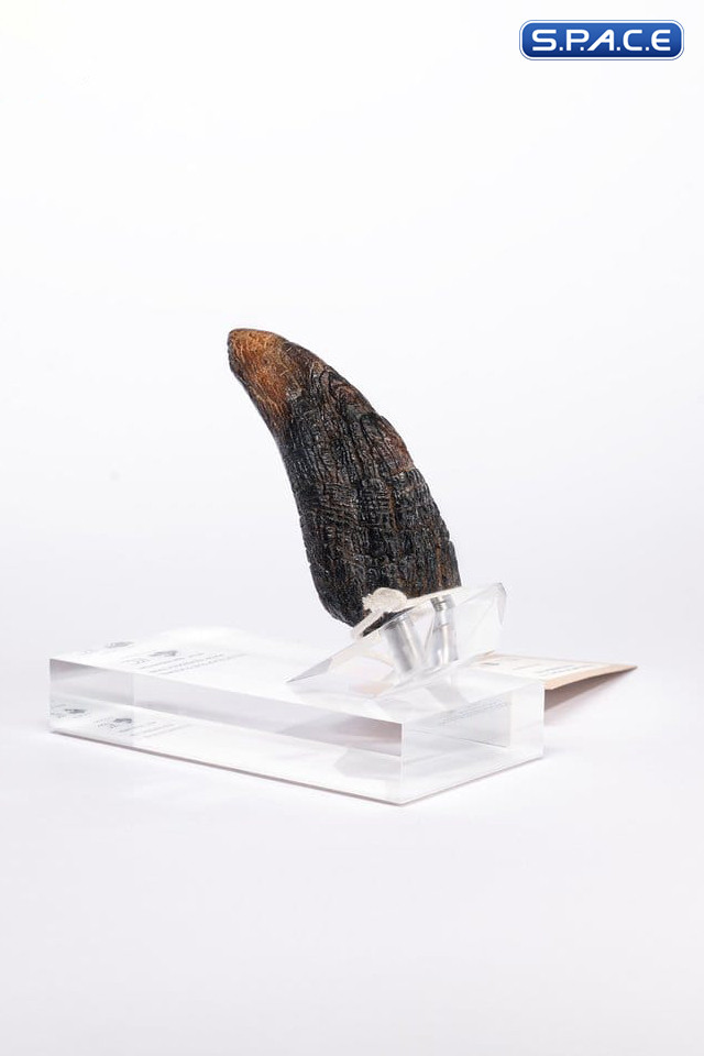Velociraptor Toenail Type A Prop Replica (Jurassic Park)
