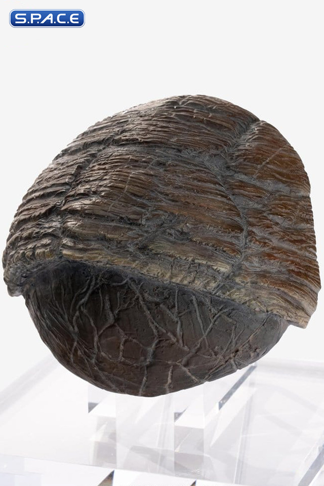 Triceratops Toenail Prop Replica (Jurassic Park)