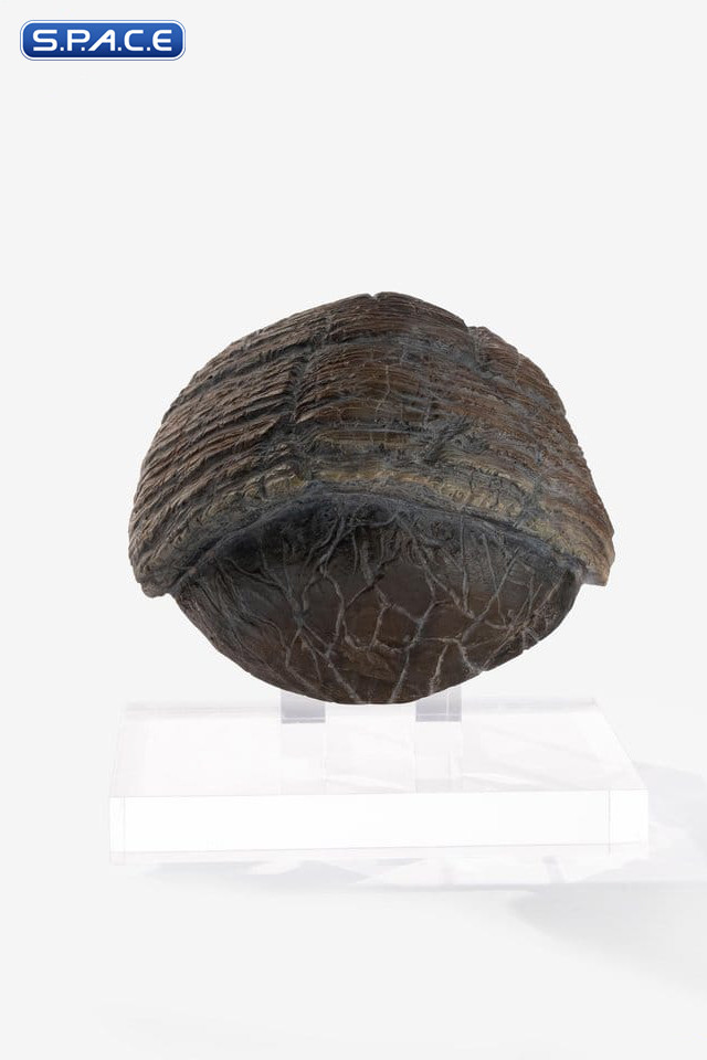 Triceratops Toenail Prop Replica (Jurassic Park)