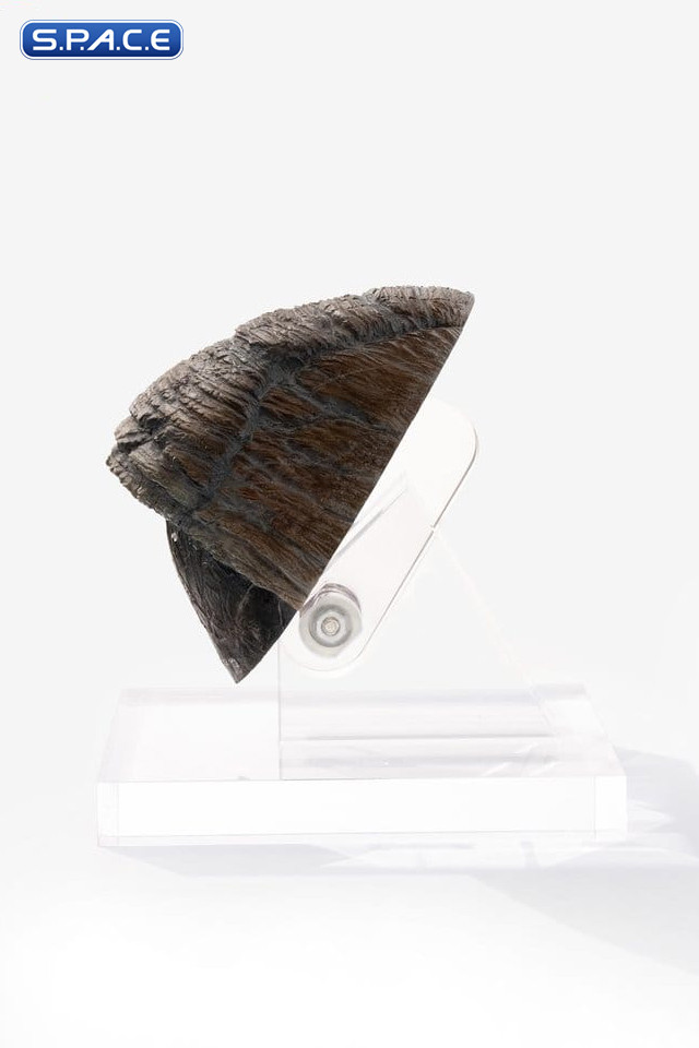 Triceratops Toenail Prop Replica (Jurassic Park)