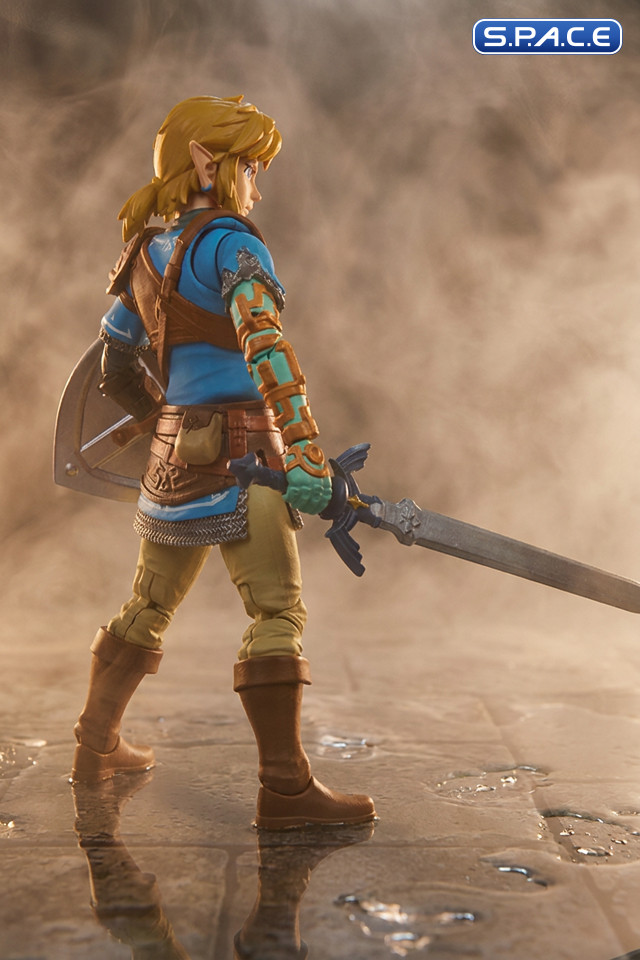 Link (The Legend of Zelda: Tears of the Kingdom)