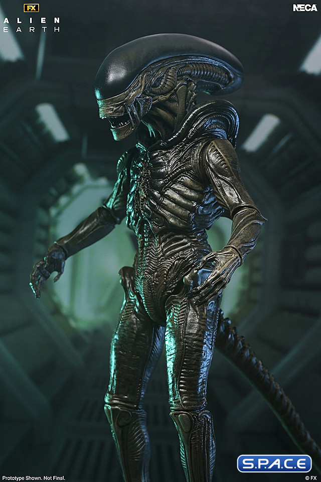 Ultimate Xenomorph (Alien: Earth)