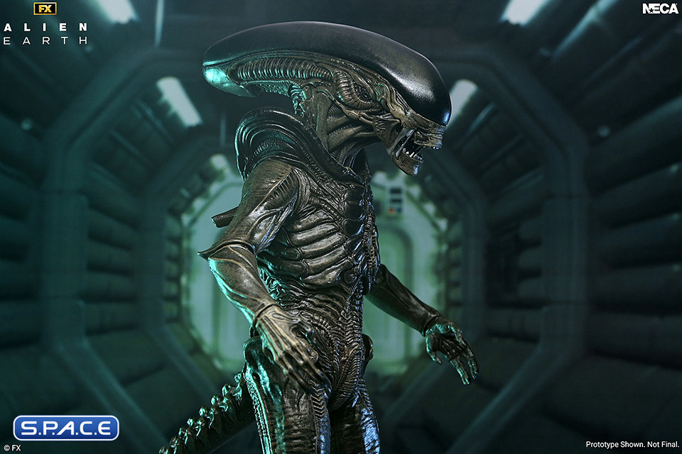 Ultimate Xenomorph (Alien: Earth)