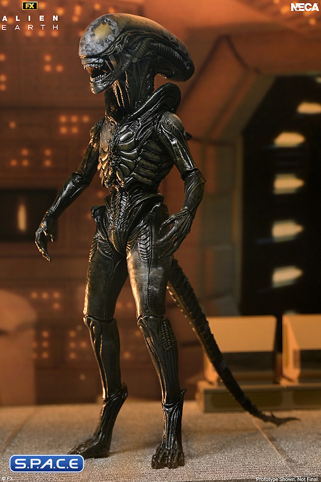 Ultimate Wendys Xenomorph (Alien: Earth)