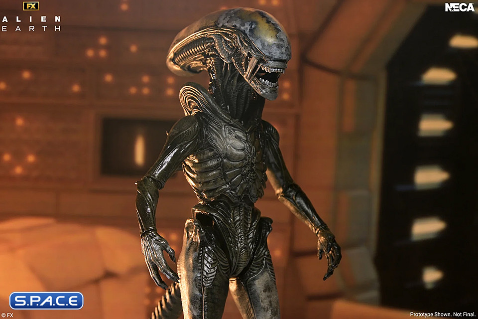 Ultimate Wendys Xenomorph (Alien: Earth)