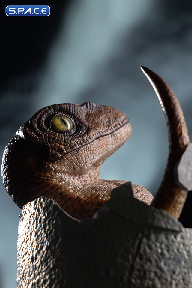 Velociraptor Egg Hatching Statue (Jurassic Park)