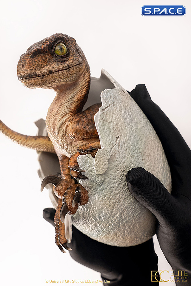 Velociraptor Egg Hatching Statue (Jurassic Park)