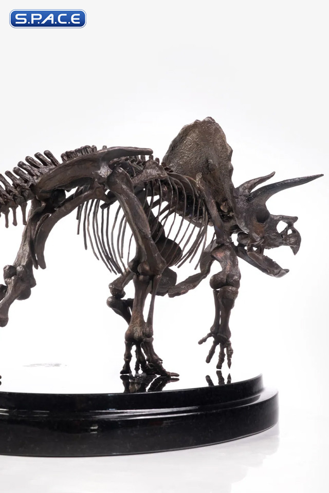 1/24 Scale Triceratops Fossil Skeleton Bronze Statue (Jurassic Park)