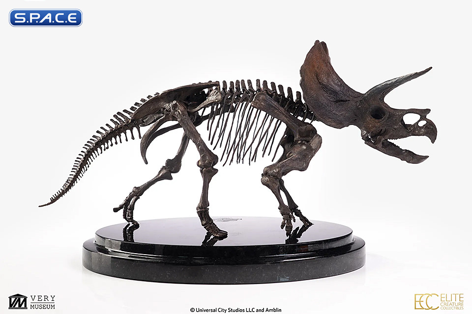 1/24 Scale Triceratops Fossil Skeleton Bronze Statue (Jurassic Park)