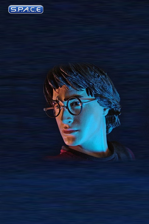 Harry Potter Gallery Collection Statue (Harry Potter)