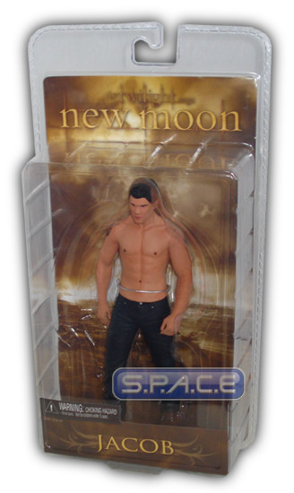 Jacob (Twilight - New Moon Serie 2)